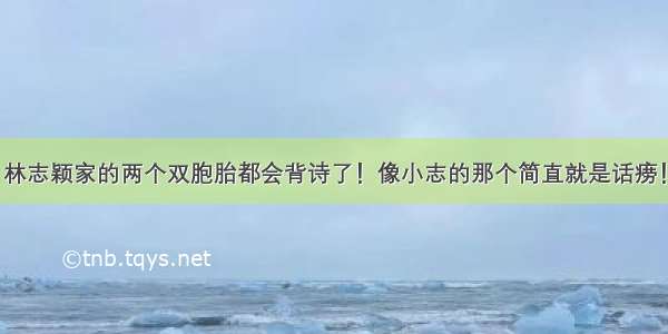 林志颖家的两个双胞胎都会背诗了！像小志的那个简直就是话痨！