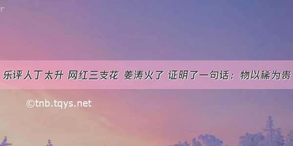 乐评人丁太升 网红三支花 姜涛火了 证明了一句话：物以稀为贵