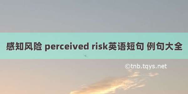 感知风险 perceived risk英语短句 例句大全