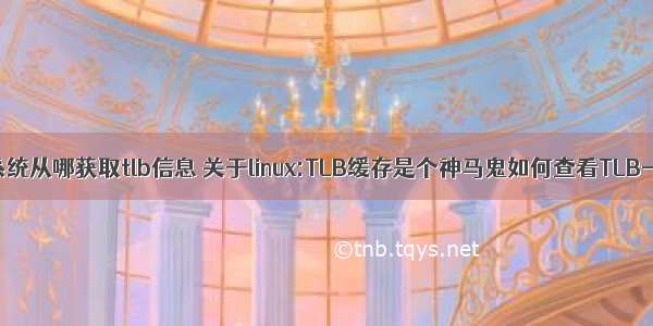 linux系统从哪获取tlb信息 关于linux:TLB缓存是个神马鬼如何查看TLB-miss