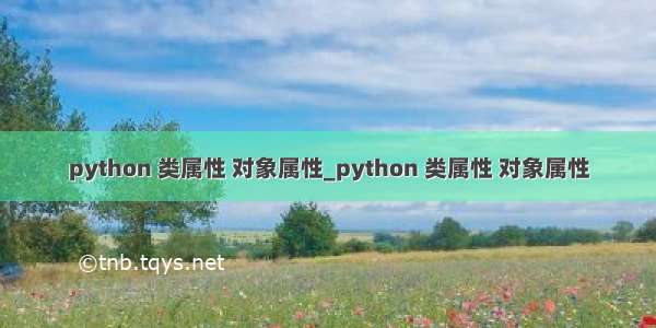 python 类属性 对象属性_python 类属性 对象属性