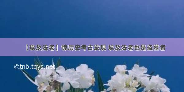 【埃及法老】惊历史考古发现 埃及法老也是盗墓者