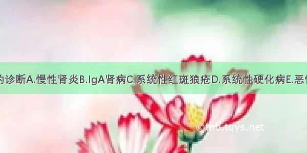 最可能的诊断A.慢性肾炎B.IgA肾病C.系统性红斑狼疮D.系统性硬化病E.恶性高血压