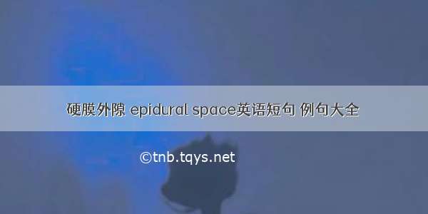 硬膜外隙 epidural space英语短句 例句大全