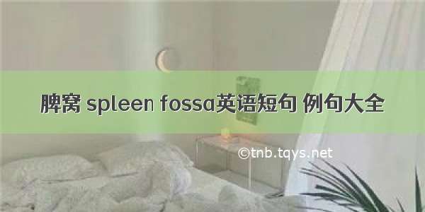 脾窝 spleen fossa英语短句 例句大全