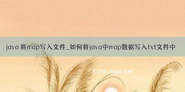 java 将map写入文件_如何将java中map数据写入txt文件中