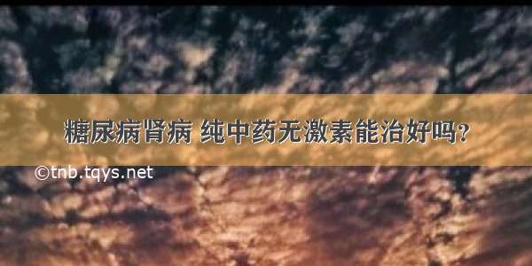 糖尿病肾病 纯中药无激素能治好吗？