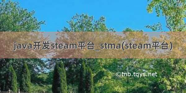 java开发steam平台_stma(steam平台)