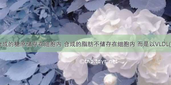 人肝细胞合成的糖原储存在细胞内 合成的脂肪不储存在细胞内 而是以VLDL(脂肪与蛋白