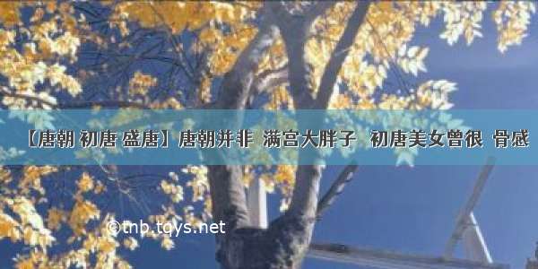 【唐朝 初唐 盛唐】唐朝并非＂满宫大胖子＂ 初唐美女曾很＂骨感＂