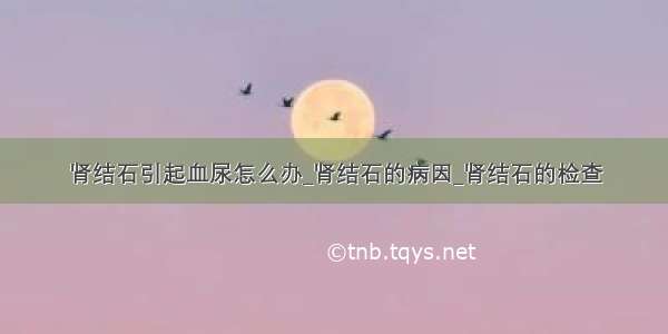 肾结石引起血尿怎么办_肾结石的病因_肾结石的检查