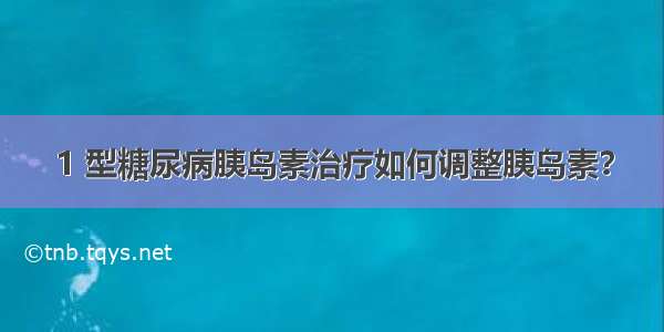 1 型糖尿病胰岛素治疗如何调整胰岛素？