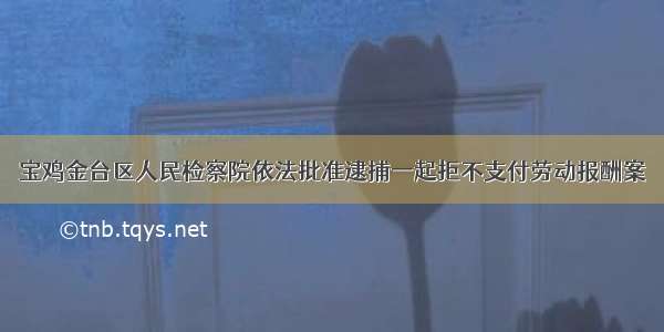 宝鸡金台区人民检察院依法批准逮捕一起拒不支付劳动报酬案