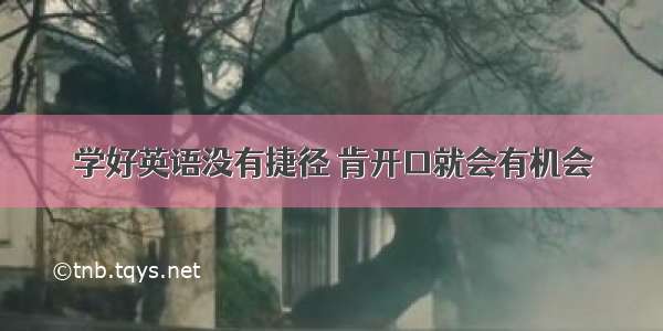 学好英语没有捷径 肯开口就会有机会