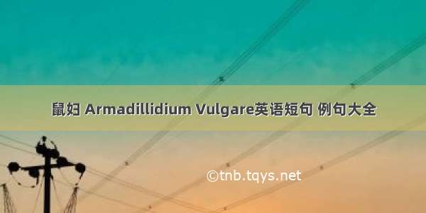 鼠妇 Armadillidium Vulgare英语短句 例句大全