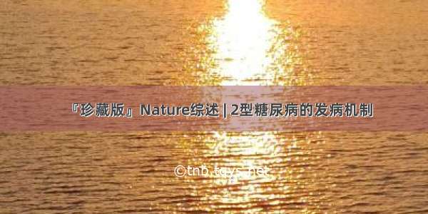 『珍藏版』Nature综述 | 2型糖尿病的发病机制