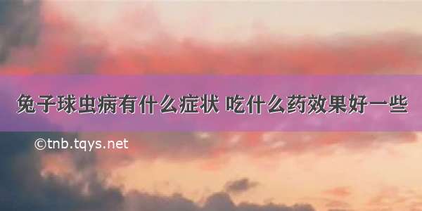 兔子球虫病有什么症状 吃什么药效果好一些