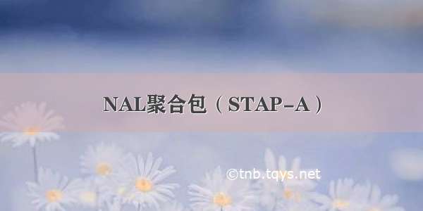 NAL聚合包（STAP-A）