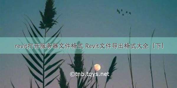 revit打开服务器文件格式 Revit文件导出格式大全（下）