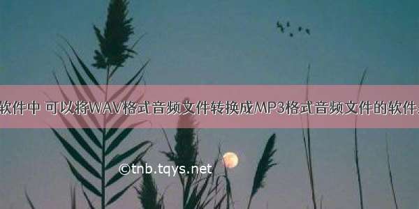 下列软件中 可以将WAV格式音频文件转换成MP3格式音频文件的软件是()。