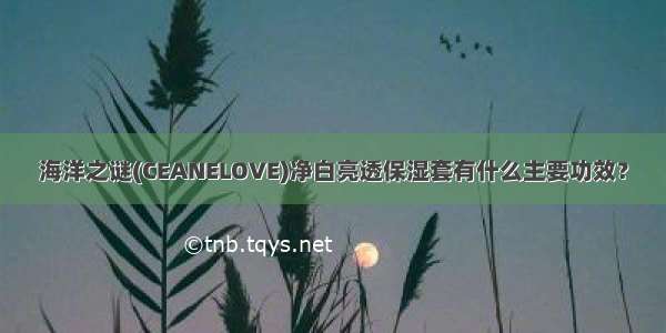 海洋之谜(CEANELOVE)净白亮透保湿套有什么主要功效？