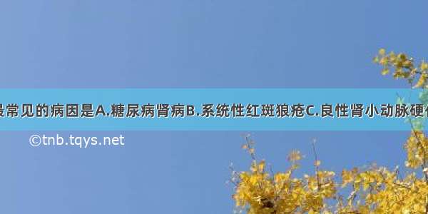 慢性肾衰竭最常见的病因是A.糖尿病肾病B.系统性红斑狼疮C.良性肾小动脉硬化症D.慢性肾