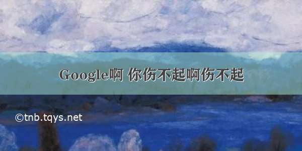 Google啊 你伤不起啊伤不起