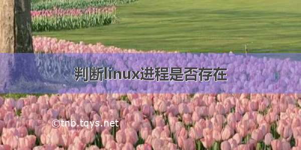 判断linux进程是否存在