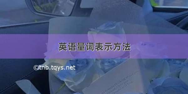 英语量词表示方法