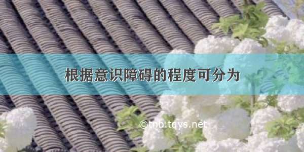 根据意识障碍的程度可分为