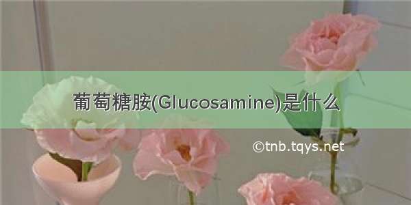 葡萄糖胺(Glucosamine)是什么