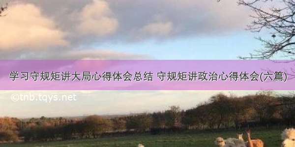 学习守规矩讲大局心得体会总结 守规矩讲政治心得体会(六篇)