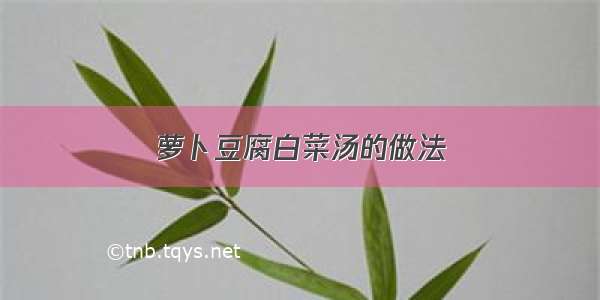 萝卜豆腐白菜汤的做法