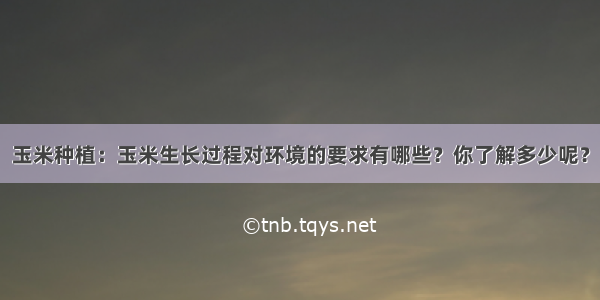 玉米种植：玉米生长过程对环境的要求有哪些？你了解多少呢？