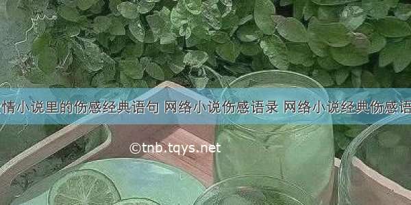 爱情小说里的伤感经典语句 网络小说伤感语录 网络小说经典伤感语句