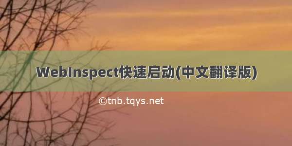 WebInspect快速启动(中文翻译版)