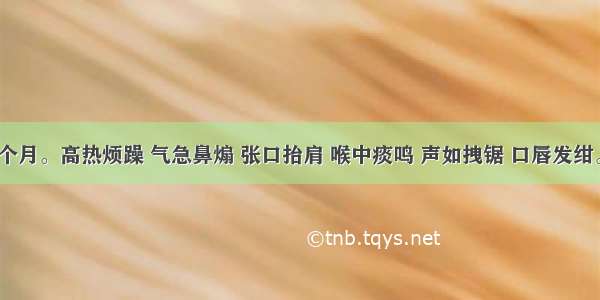 患儿 10个月。高热烦躁 气急鼻煽 张口抬肩 喉中痰鸣 声如拽锯 口唇发绀。其治法