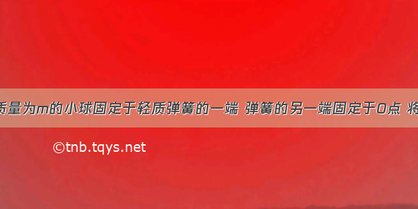 如图所示 质量为m的小球固定于轻质弹簧的一端 弹簧的另一端固定于O点 将小球拉至A