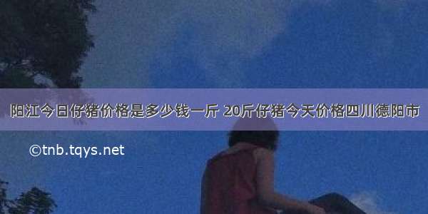 阳江今日仔猪价格是多少钱一斤 20斤仔猪今天价格四川德阳市