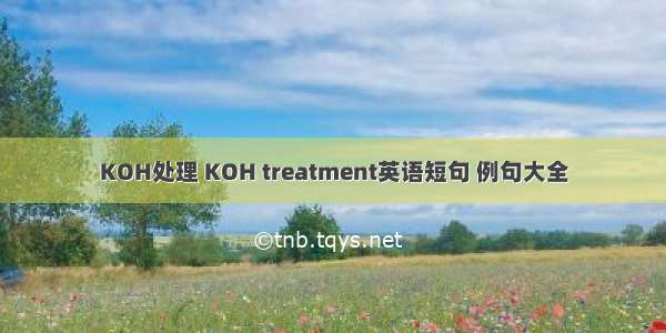 KOH处理 KOH treatment英语短句 例句大全