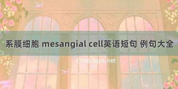 系膜细胞 mesangial cell英语短句 例句大全