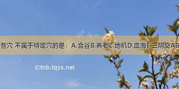 下列各穴 不属于特定穴的是：A.合谷B.养老C.地机D.血海E.三阴交ABCDE