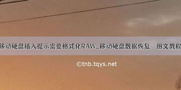 移动硬盘插入提示需要格式化RAW_移动硬盘数据恢复 – 图文教程