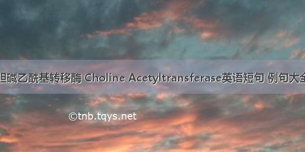 胆碱乙酰基转移酶 Choline Acetyltransferase英语短句 例句大全