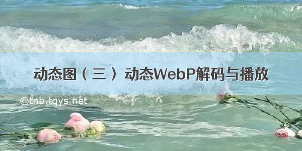 动态图（三） 动态WebP解码与播放