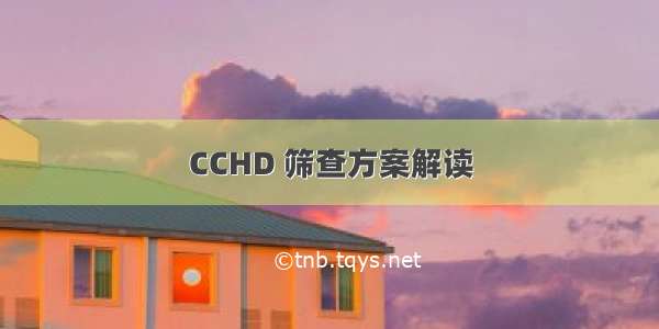 CCHD 筛查方案解读