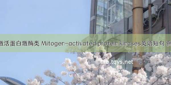 丝裂原激活蛋白激酶类 Mitogen-activated protein kinases英语短句 例句大全