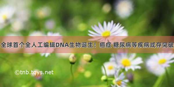 全球首个全人工编辑DNA生物诞生！癌症 糖尿病等疾病或存突破