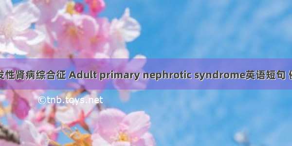 成人原发性肾病综合征 Adult primary nephrotic syndrome英语短句 例句大全