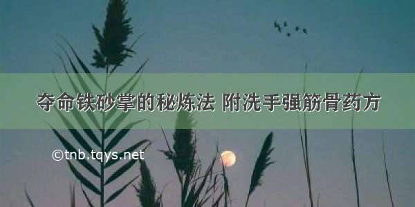 夺命铁砂掌的秘炼法 附洗手强筋骨药方